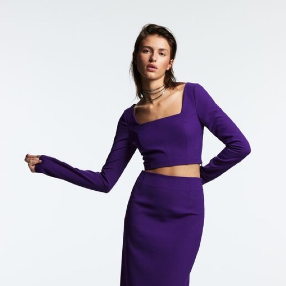 ZARA Crop Top with Sleeves